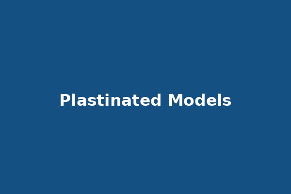 Plastinated Models