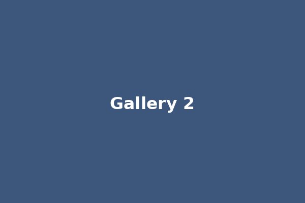 DMSF Gallery 2